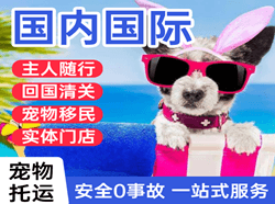 北京首都航空托运国际宠物托运 【国